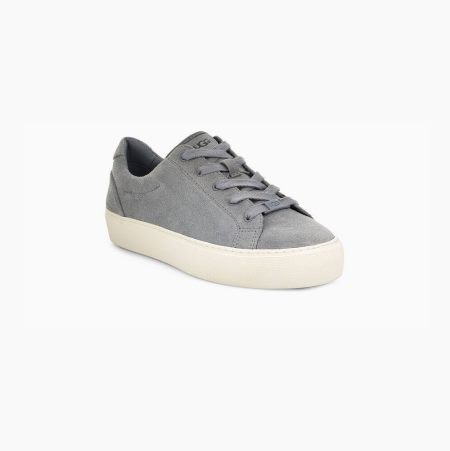 UGG Zilo Grey Sneakers for Women (CNXW84059)